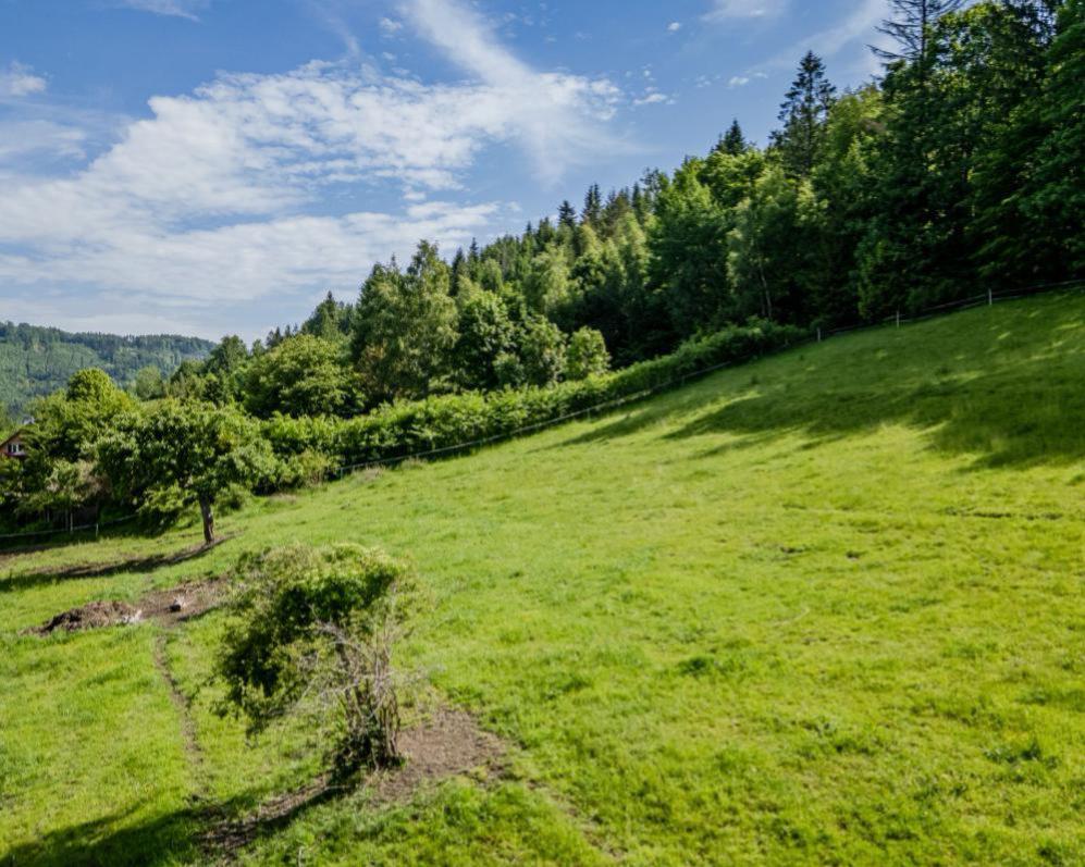 Daň z nemovitosti: máme zde opět další leden